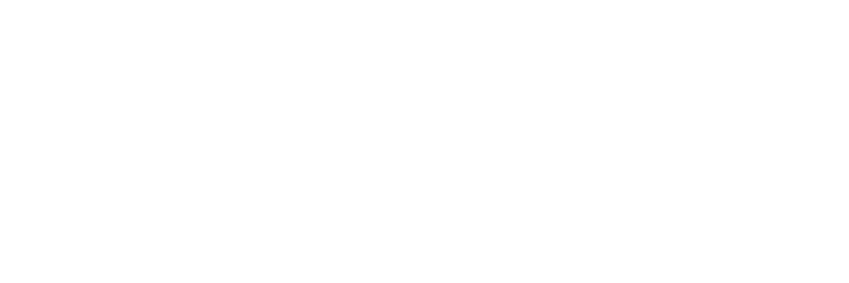 wconnectwhite